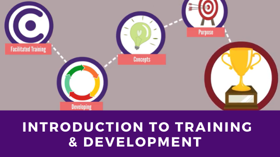 employee training and development