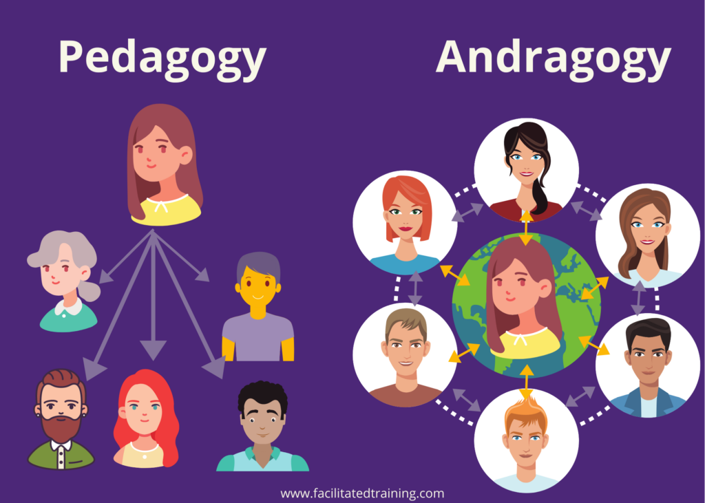 andragogy theory